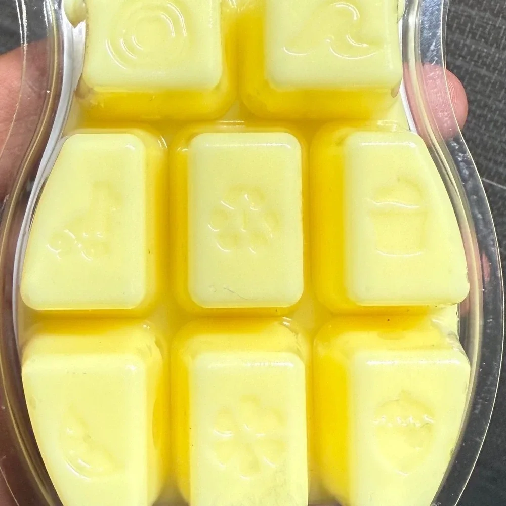 Scentsy Disney Belle Enchanted Rose Wax Bar Beauty and the Beast 3.2oz 50079